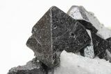Octahedral Magnetite Crystals In Calcite - Russia #209446-3